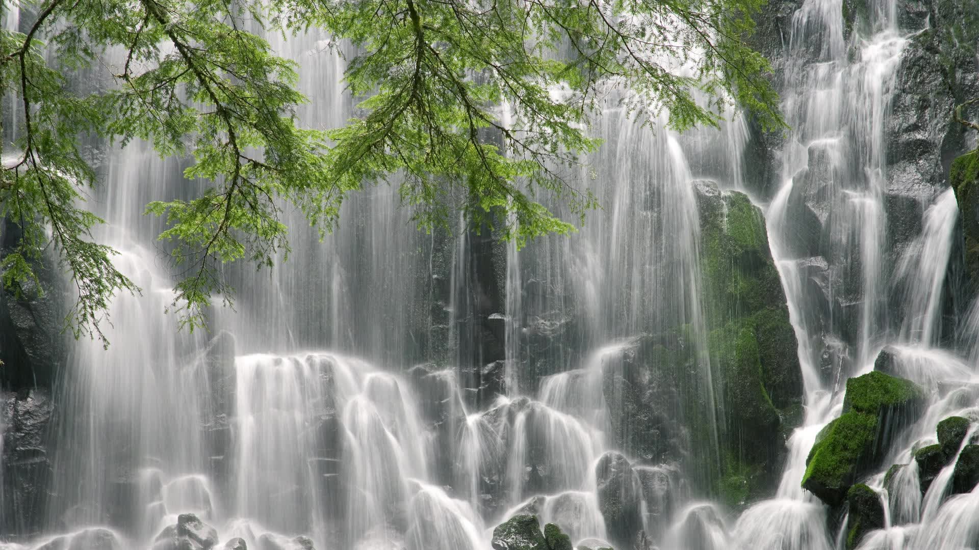 世界登山青年导师生态课堂全国示范项目案例发布，登山专家